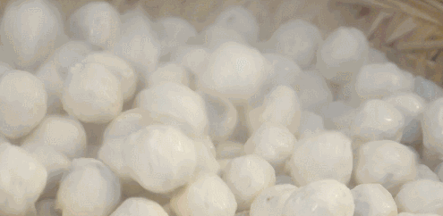 1566288944274914.gif 4.gif