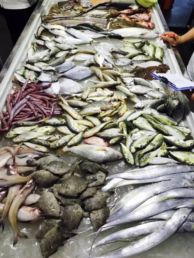 1566289665839485.jpg 17.webp.jpg